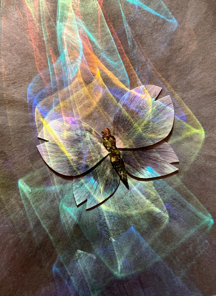 Butterflies