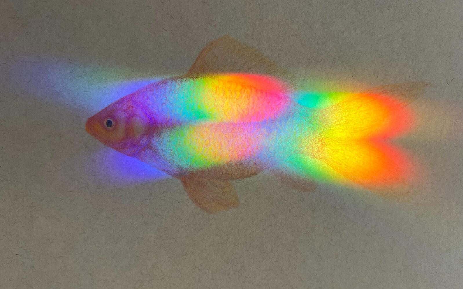 1563