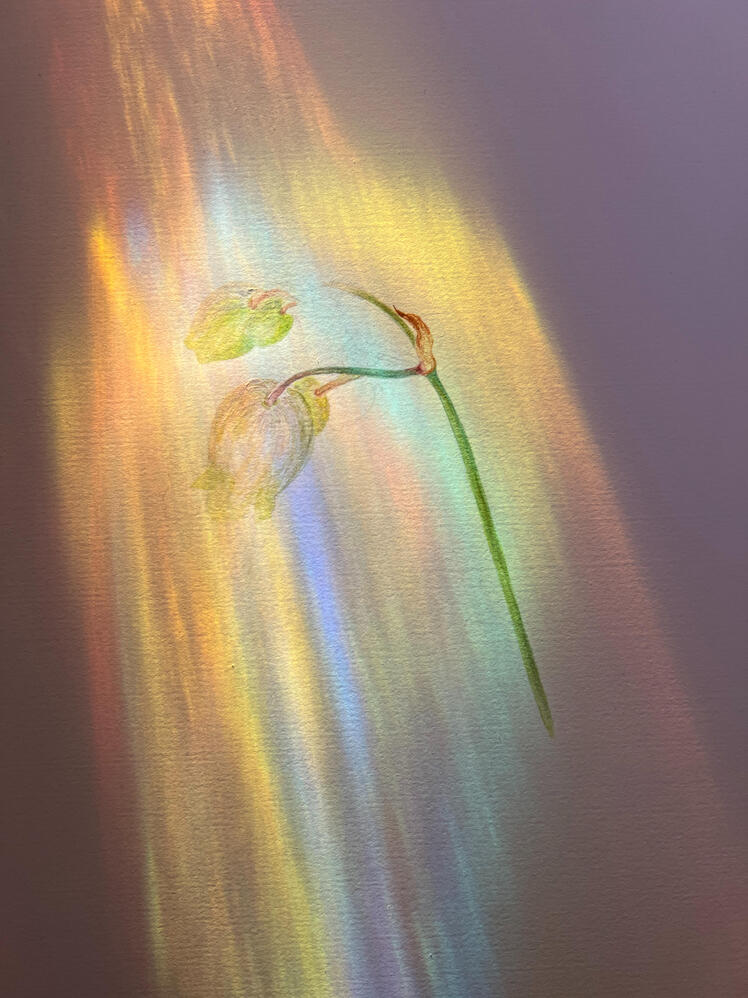 4287
