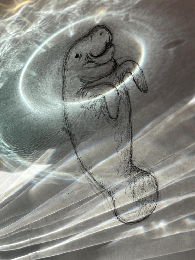 1214