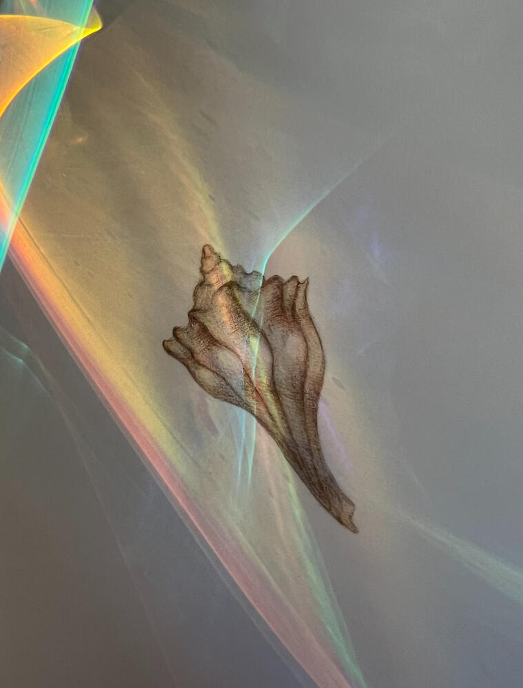 7331