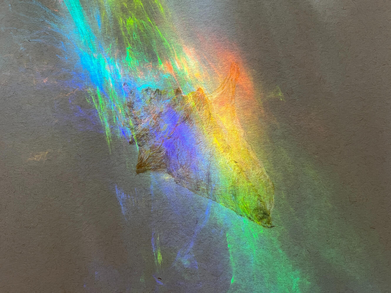 9607