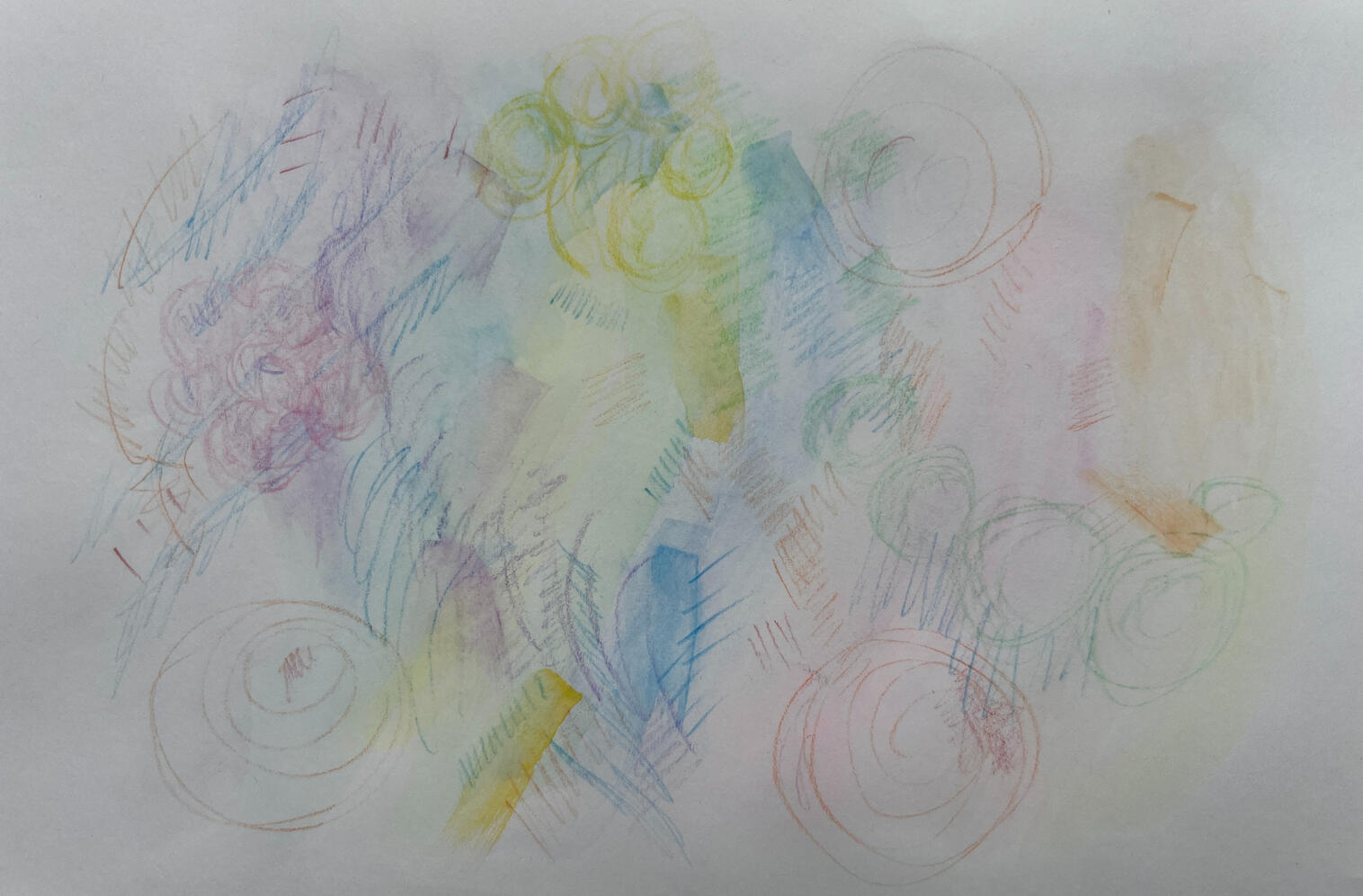 Wildflower Meadow