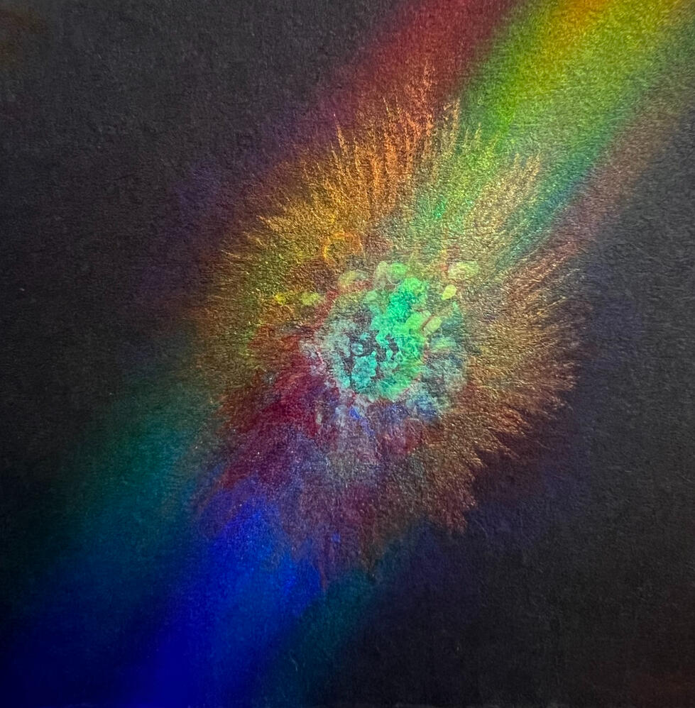 1233