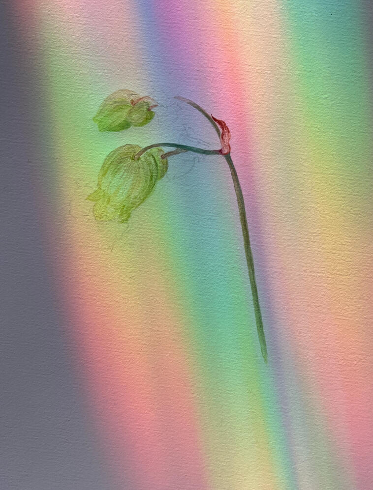 5748
