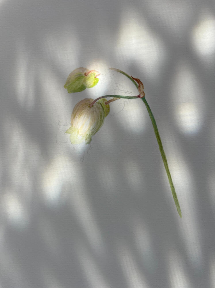 6747