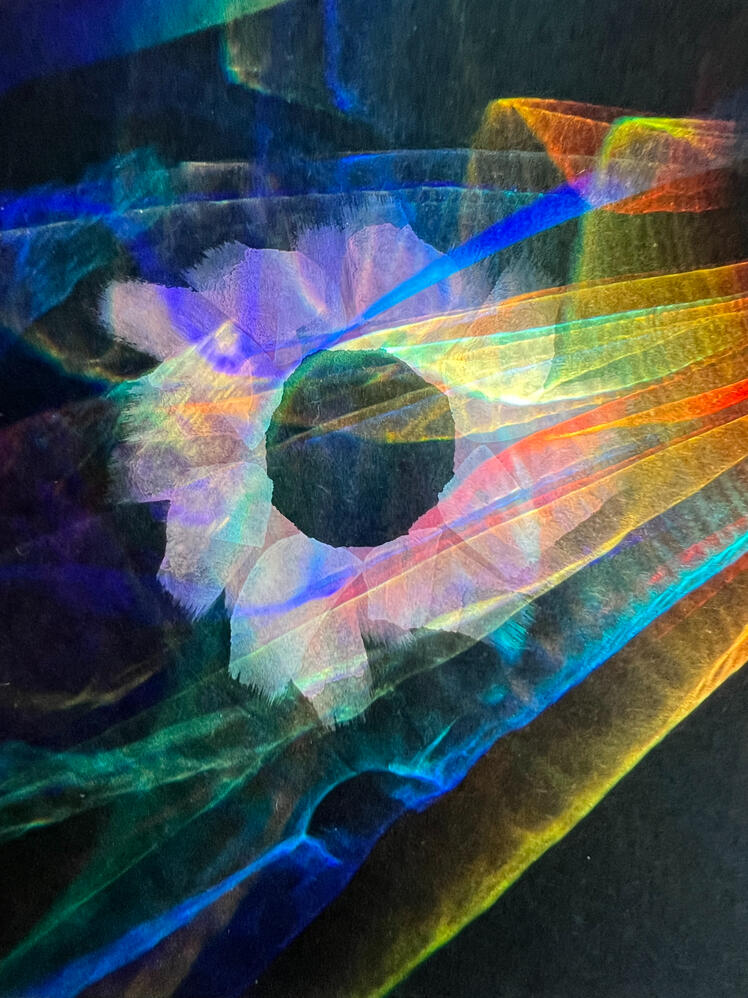 6906