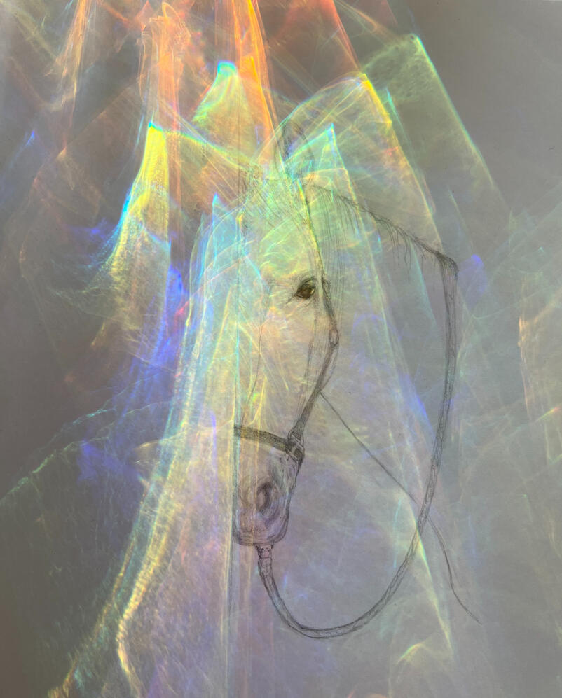2205