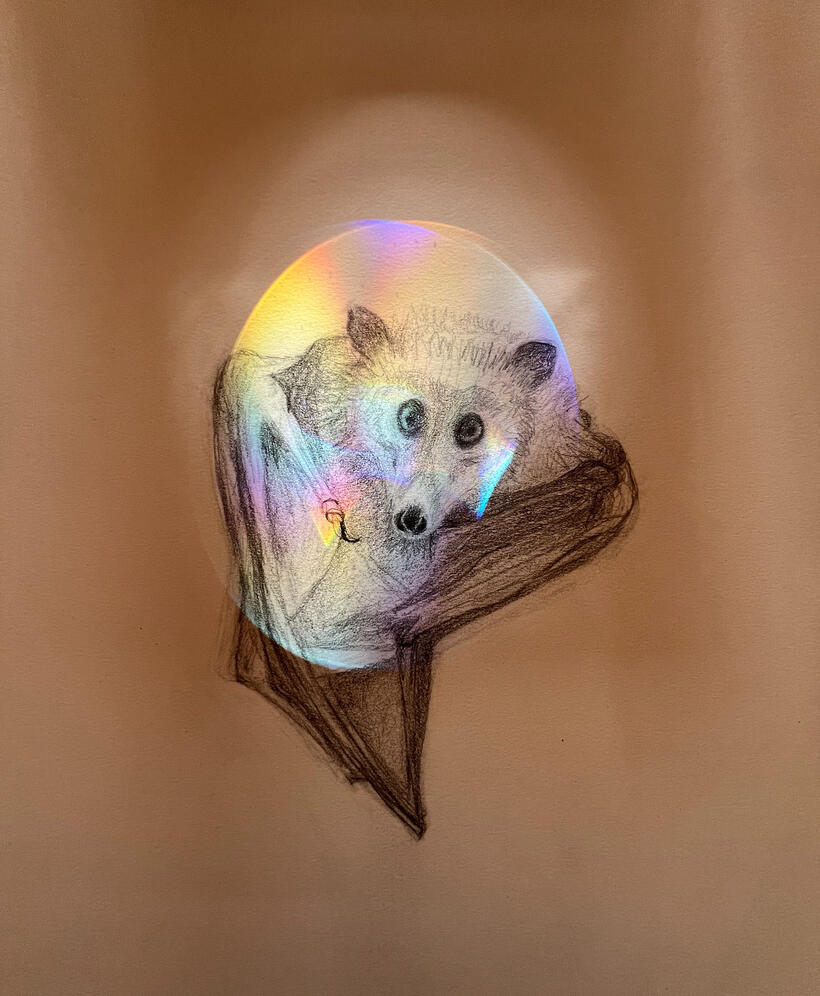 6144